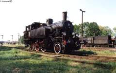 Zdjcie 24