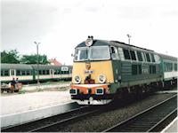 Zdjcie 21