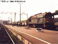 Zdjcie 28