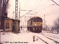 Zdjcie 23
